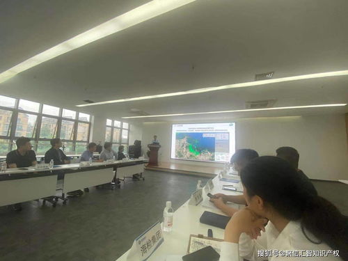 让科技服务成为科技创新的助燃剂——信息技术咨询服务的价值与路径