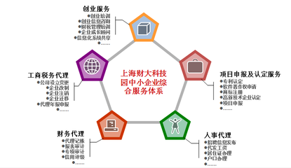 赋能创业未来 融合信息技术咨询的综合创业服务新范式